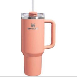 Stanley 40 oz Stainless Steel H2.0 Flowstate Quencher Tumbler Melon